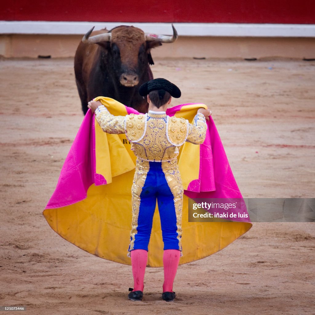 Bullfight in Sanfermin