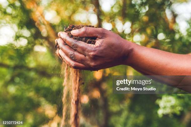 count your wealth by the richnesses of your soil - soil stock pictures, royalty-free photos & images