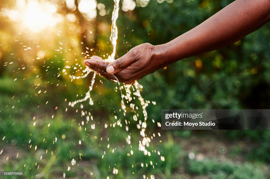 Conservar água, conservar a vida