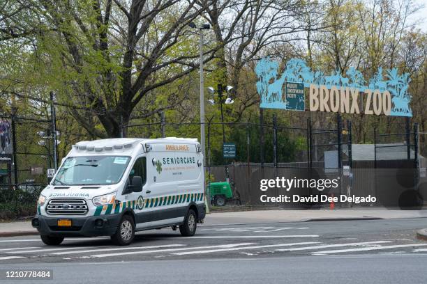 An ambulance departs from a parking lot at the Bronx Zoo on April 23, 2020 in New York City. Seven more big cats have reportedly tested positive for...