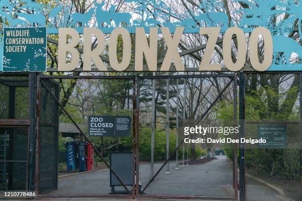 The main entrance of the Bronx Zoo is closed on April 23 in New York City. Seven more big cats have reportedly tested positive for the coronavirus...