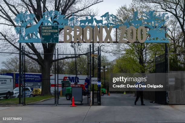 Security guard stands by an entrance to the Bronx Zoo on April 23, 2020 in New York City. Seven more big cats have reportedly tested positive for the...