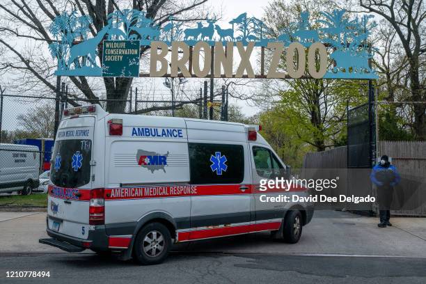 An ambulance arrives at a parking lot at the Bronx Zoo on April 23, 2020 in New York City. Seven more big cats have reportedly tested positive for...