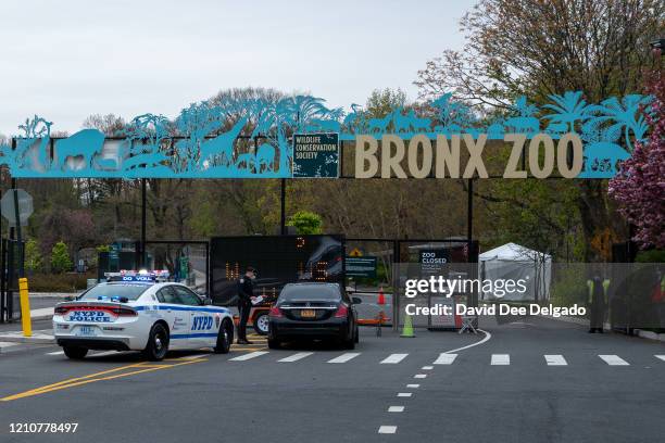 Testing site is seen in a parking lot at the Bronx Zoo on April 23, 2020 in New York City. Seven more big cats have reportedly tested positive for...