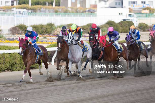 February 5 : Jockeys compete the Race 8 at the Himeji Racecourse on February 5, 2020 in Himeji, Hyogo, Japan.