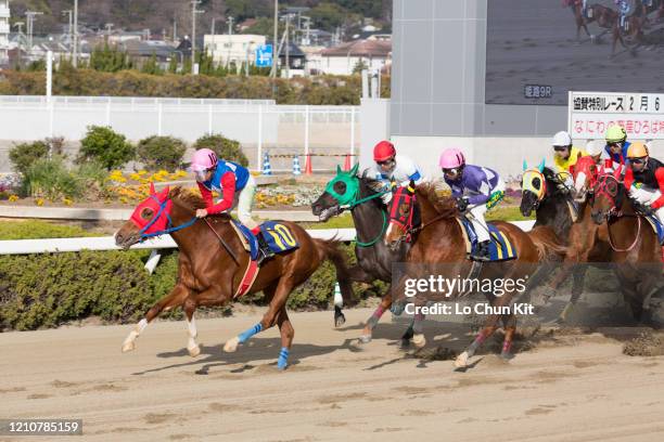 February 5 : Jockeys compete the Race 9 at the Himeji Racecourse on February 5, 2020 in Himeji, Hyogo, Japan.