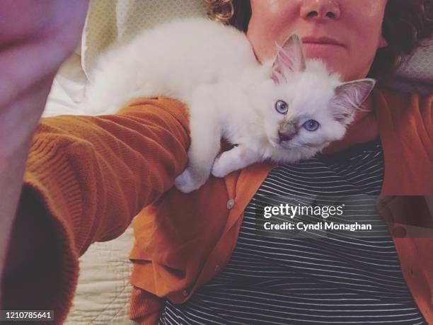 selfie of a woman snuggling a kitten - cat selfie stock-fotos und bilder