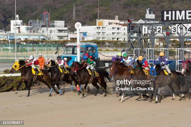 February 5 : Jockeys compete the Race 10 at the Himeji Racecourse on February 5, 2020 in Himeji, Hyogo, Japan.