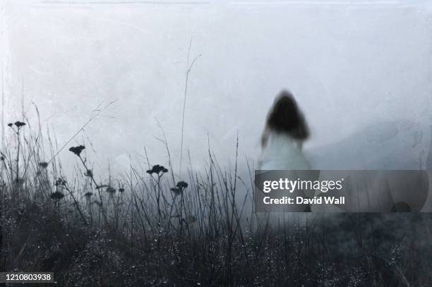 an out of focus, blurred ghostly woman wearing a white dress, running away from the camera. on a misty winters day in the countryside. with an artistic, textured, edit. - fantasma fotografías e imágenes de stock