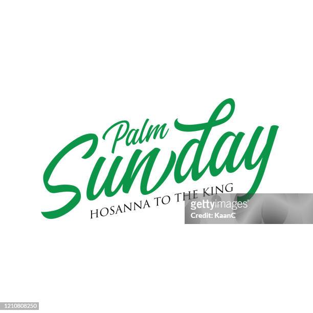 palm sunday christian holiday theme illustration stock illustration - palm sunday stock illustrations