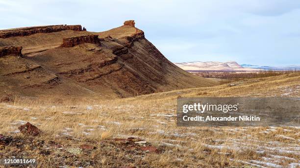 winter steppe. - steppeklimaat stockfoto's en -beelden