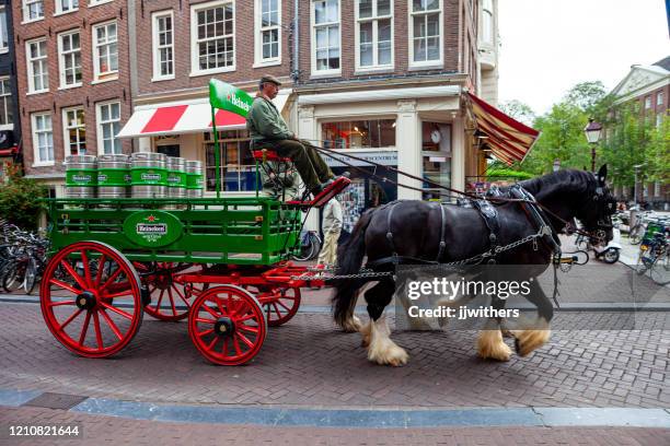 green heinekin beer keg horse drawn carriage along spuistraat street in amsterdam, netherlands - horse and cart deliver stock pictures, royalty-free photos & images