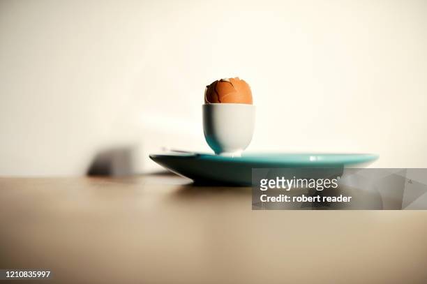egg in egg cup - eierbecher stock-fotos und bilder