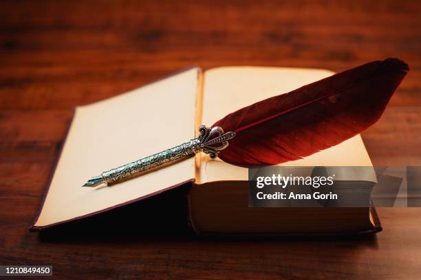red feather quill pen on blank open vintage book, lying on wood surface, warm lighting - 羽ペン ストックフォトと画像