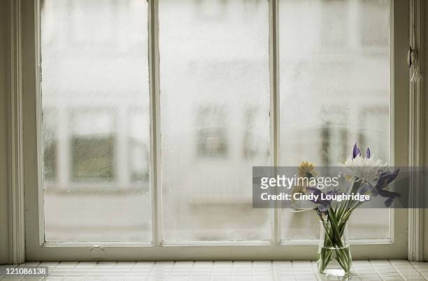 vased flowers on sill of apartment window - window sill stock pictures, royalty-free photos & images
