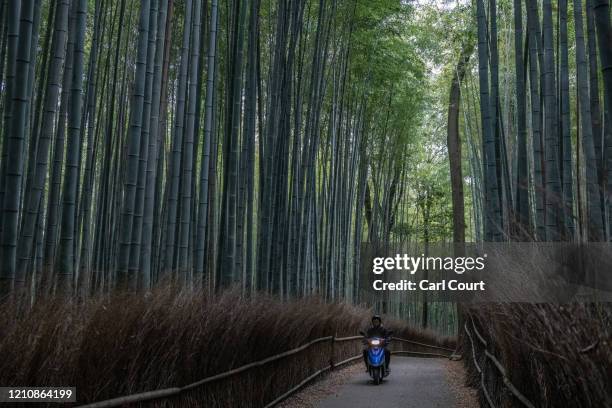 Man rides a motorcycle through Arashiyama Bamboo Forest, one of Kyotos most popular tourist sites but which is now almost devoid of visitors, on...