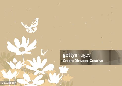Flowers & Butterflies Flowers & Butterflies