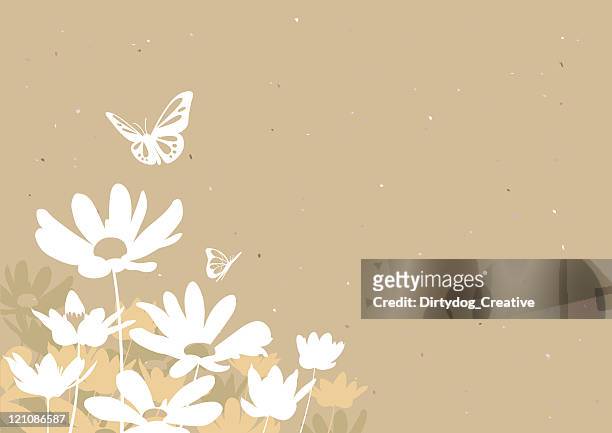 bildbanksillustrationer, clip art samt tecknat material och ikoner med flowers & butterflies - daisy