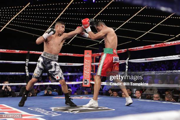 January 25: MANDATORY CREDIT Bill Tompkins/Getty Images Mikey Garcia defeats Juan Carlos Burgos by Unanimous Decision in their Super Featherweight...
