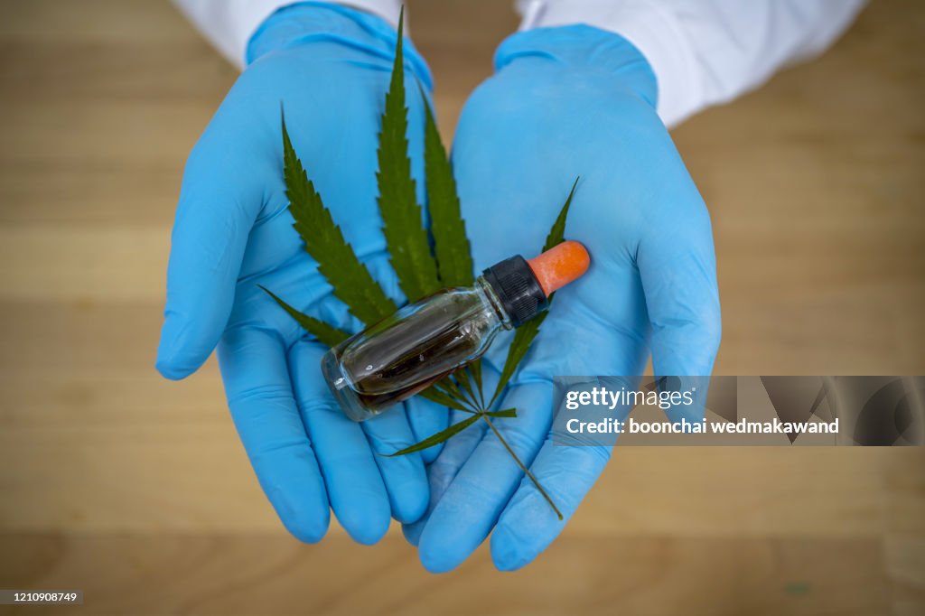 Cannabis research