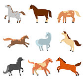 A set of cute cartoon horses of different configuration, color and coloring.
