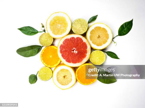 citrus fruits slices on a white background - zitrusfrucht stock-fotos und bilder