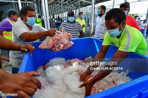 Fishermen pack fish fillets in a cooler to be distributed among low-income families, including members of the Guna ethnic group, during the pandemic...