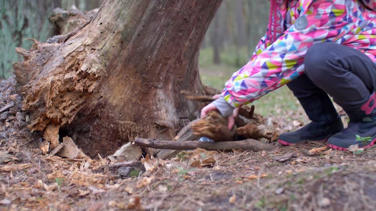 https://media.gettyimages.com/id/1210941050/video/kid-playing-treasure-hunt-game-hiding-and-finding-geocache-container-in-forest.jpg?b=1&s=640x640&k=20&c=ReePp8sedUQKlgXsDydHrkyuRvM-9AYIysFyqJzElAE=