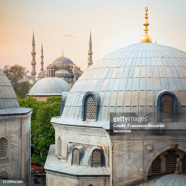 blue mosque as seen from hagia sofia, istanbul, turkey - contemporary istanbul foto e immagini stock
