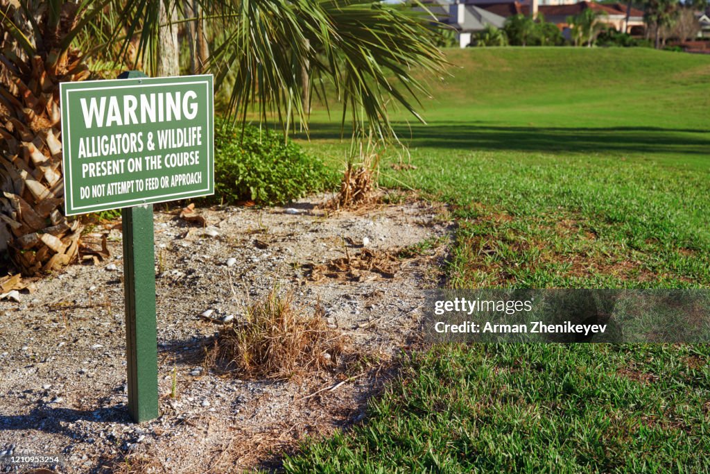 Alligator Point Sign Alligator Danger And Warning Sign Florida Usa High-Res Stock Photo ...