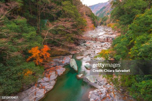 the kazurabashi bridge in iya valley - 祖谷渓 ストックフォトと画像