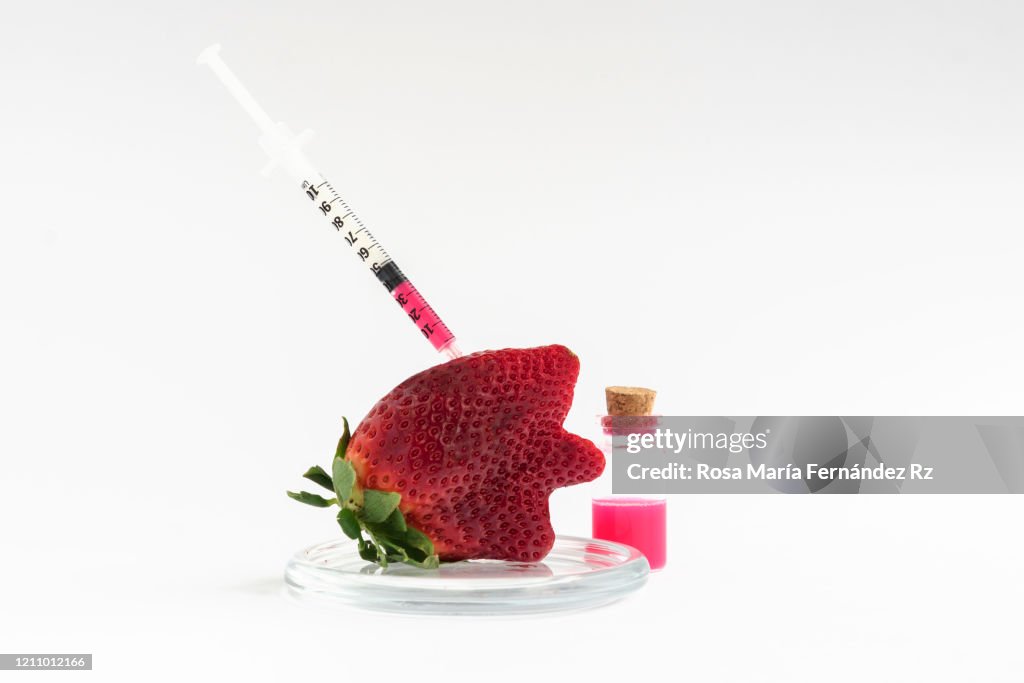 Strawberry with a syringe stuck concept of genetically modified foods or GMOs
