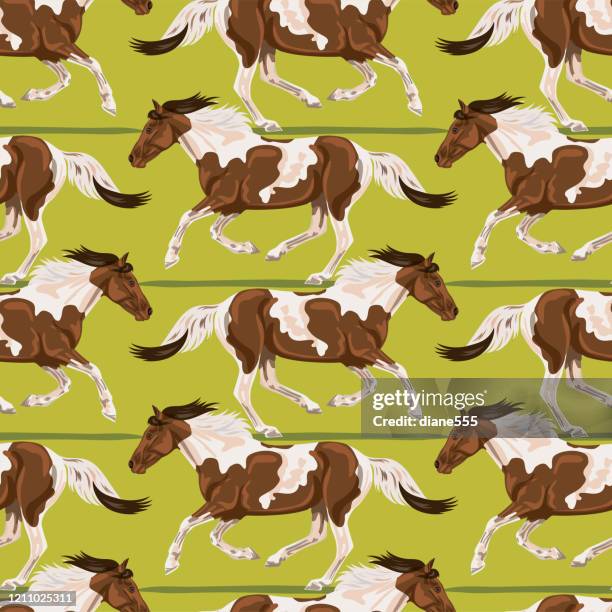 stockillustraties, clipart, cartoons en iconen met wild horses naadloos patroon - pinto's