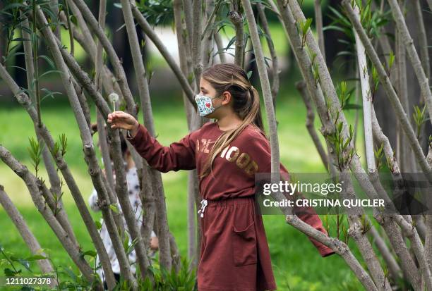 Young girl wearing a face mask, picks up a blowball as she plays in a park in Seville on April 26, 2020 amid a national lockdown to prevent the...