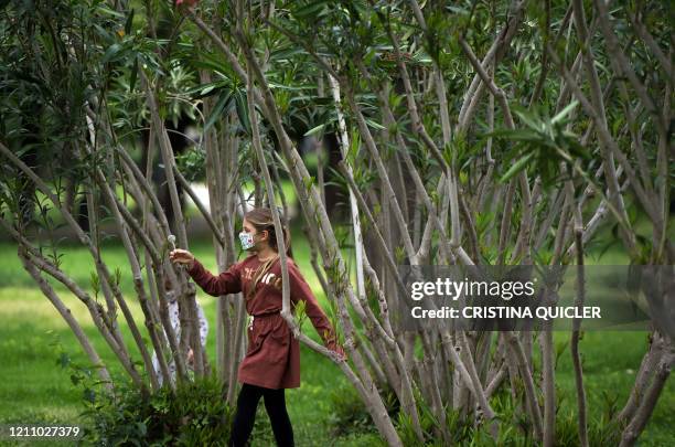 Young girl wearing a face mask, picks up a blowball as she plays in a park in Seville on April 26, 2020 amid a national lockdown to prevent the...