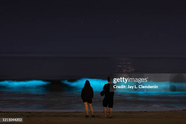 Bioluminescent waves glow off the coast of Hermosa Beach, CA, Saturday, April 25, 2020. The phenomenon is associated with a red tide, or an algae...