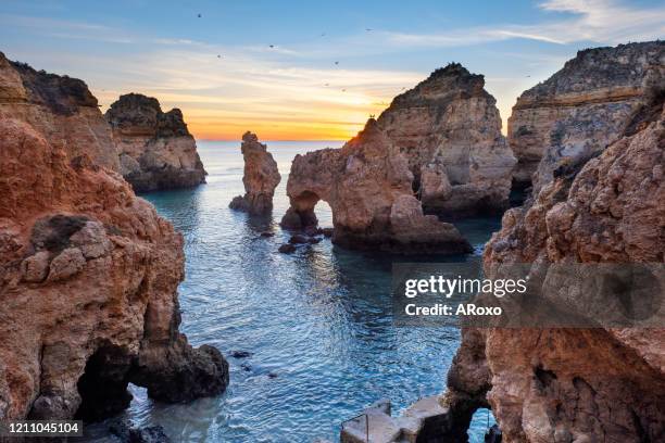 beautiful beach near lagos in ponta da piedade, algarve region, portugal. amazing landscape at sunrise. - portimão stock pictures, royalty-free photos & images