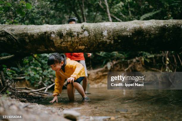 young girl hiking in jungle river, okinawa, japan - dodging stock pictures, royalty-free photos & images