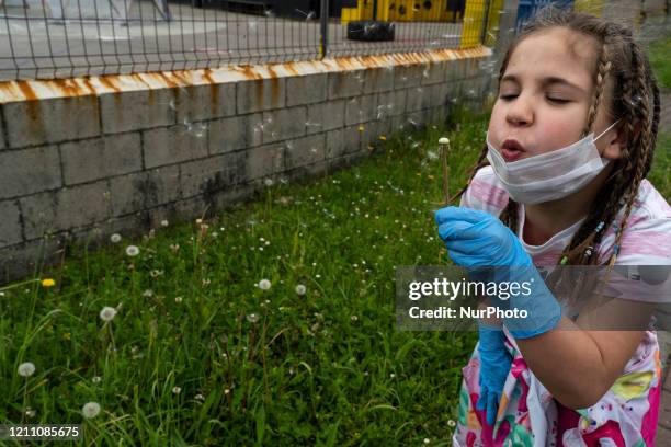 Girl blows a flower the first day that children are released into the street after 42 days of confinement due to the mandatory quarantine decreed by...