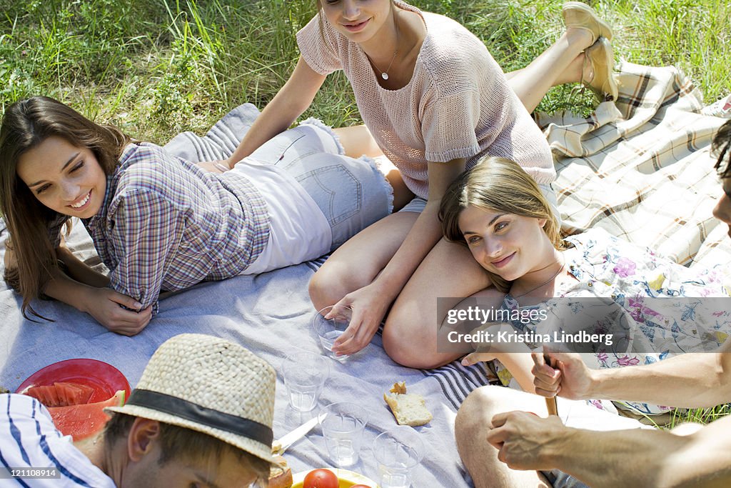 Friends having fun at picnic in nature.