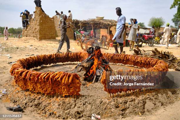 Meat skewers cooking by the fire at a street market in Birnin Kudu.