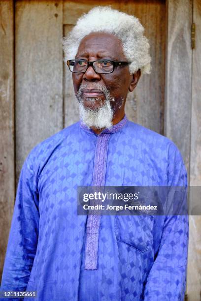 Demas Demas Nwoko Photos and Premium High Res Pictures - Getty Images