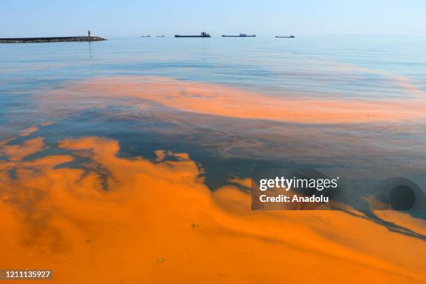 View of a red tide causing discoloration of coastal waters due to large algal blooms as the sea water temperature raised at Marmara Sea in Tekirdag,...