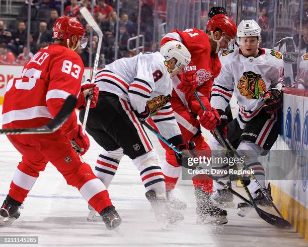 Frans Nielsen and Trevor Daley of the Detroit Red Wings battles along the boards for the puck with Dominik Kubalik and Olli Maatta of the Chicago...