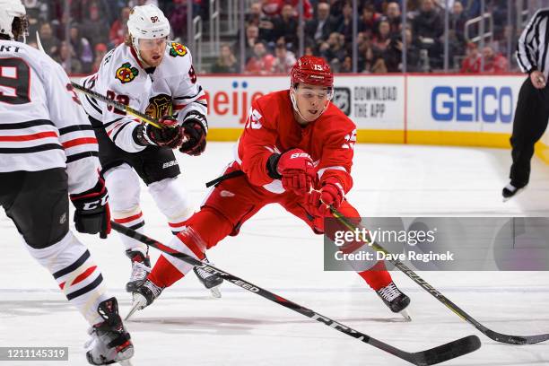 Dmytro Timashov of the Detroit Red Wings reaches for the puck in front of Alex Nylander of the Chicago Blackhawks during an NHL game at Little...