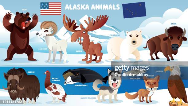 stockillustraties, clipart, cartoons en iconen met alaska dieren - sledehond