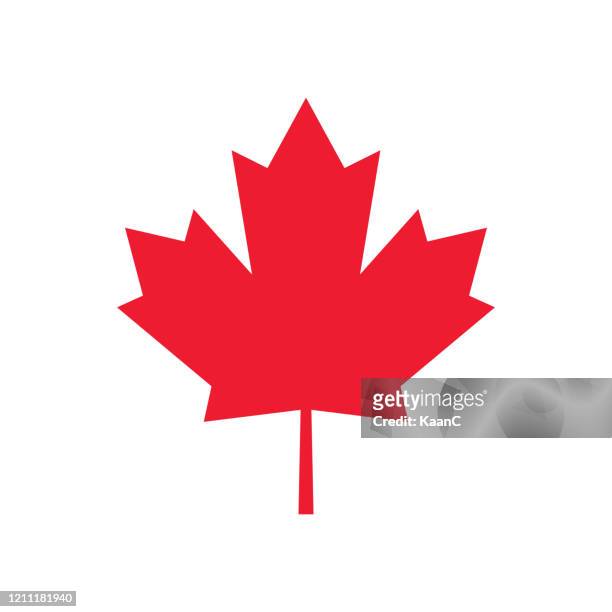 maple leaf icon. canadian symbol. vector illustration. stock illustration - canada leaf stock illustrations