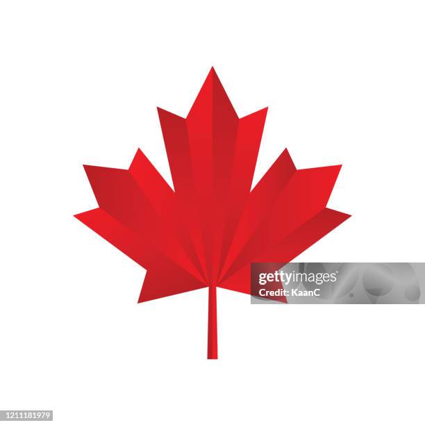 maple leaf icon. canadian symbol. vector illustration. stock illustration - leaf stock illustrations