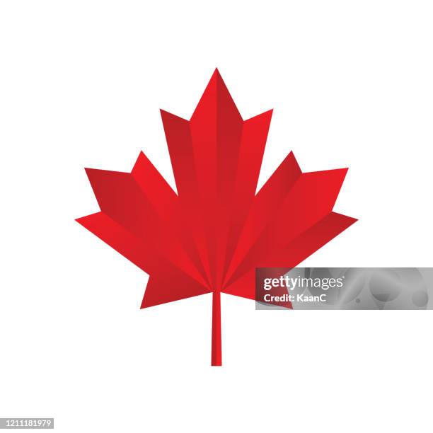 maple leaf icon. canadian symbol. vector illustration. stock illustration - ice hockey vector stock illustrations