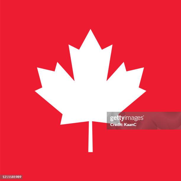 ahorn-blatt-symbol. kanadisches symbol. vektor-illustration. bestandsabbildung - roter ahorn stock-grafiken, -clipart, -cartoons und -symbole